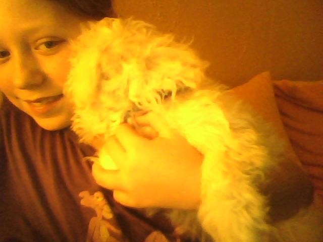 Picture0060