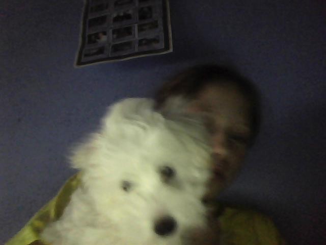 Picture0049